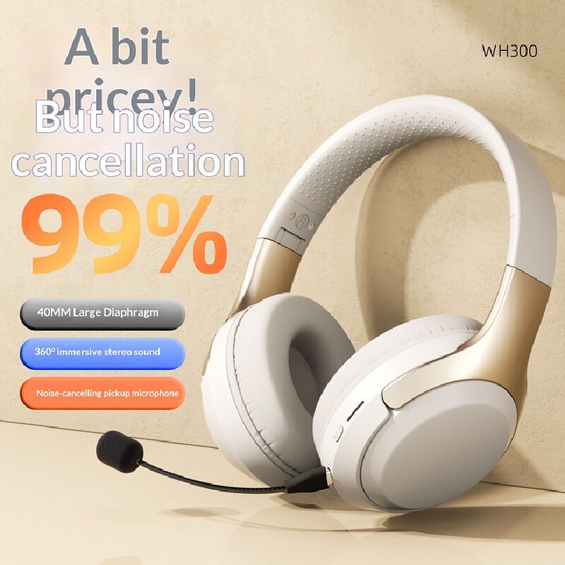Over-ear draadloze Bluetooth-h - Travel Accessories Officeworks recensie en prijs