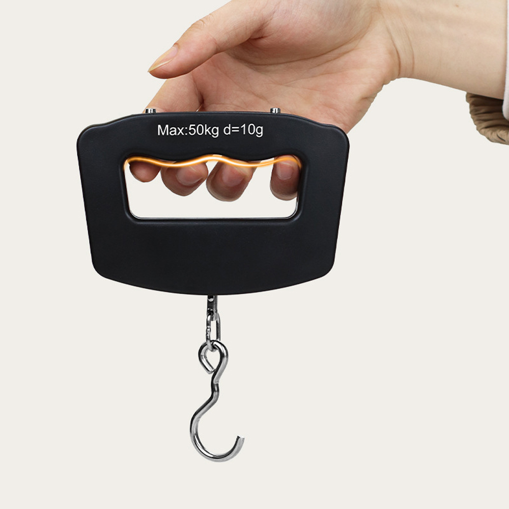 50kg digitale visweegschaal me - Luggage Scale Hanging recensie en prijs