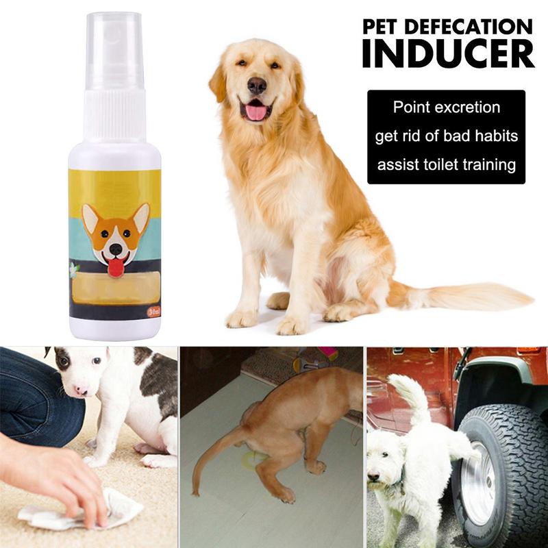 1 Stuks Hond Potje Trein Spray - Travel Accessories For Train recensie en prijs